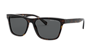 POLO RALPH LAUREN PH4167 Shiny Dark Havana - Men Sunglasses, Polarized Grey Lens