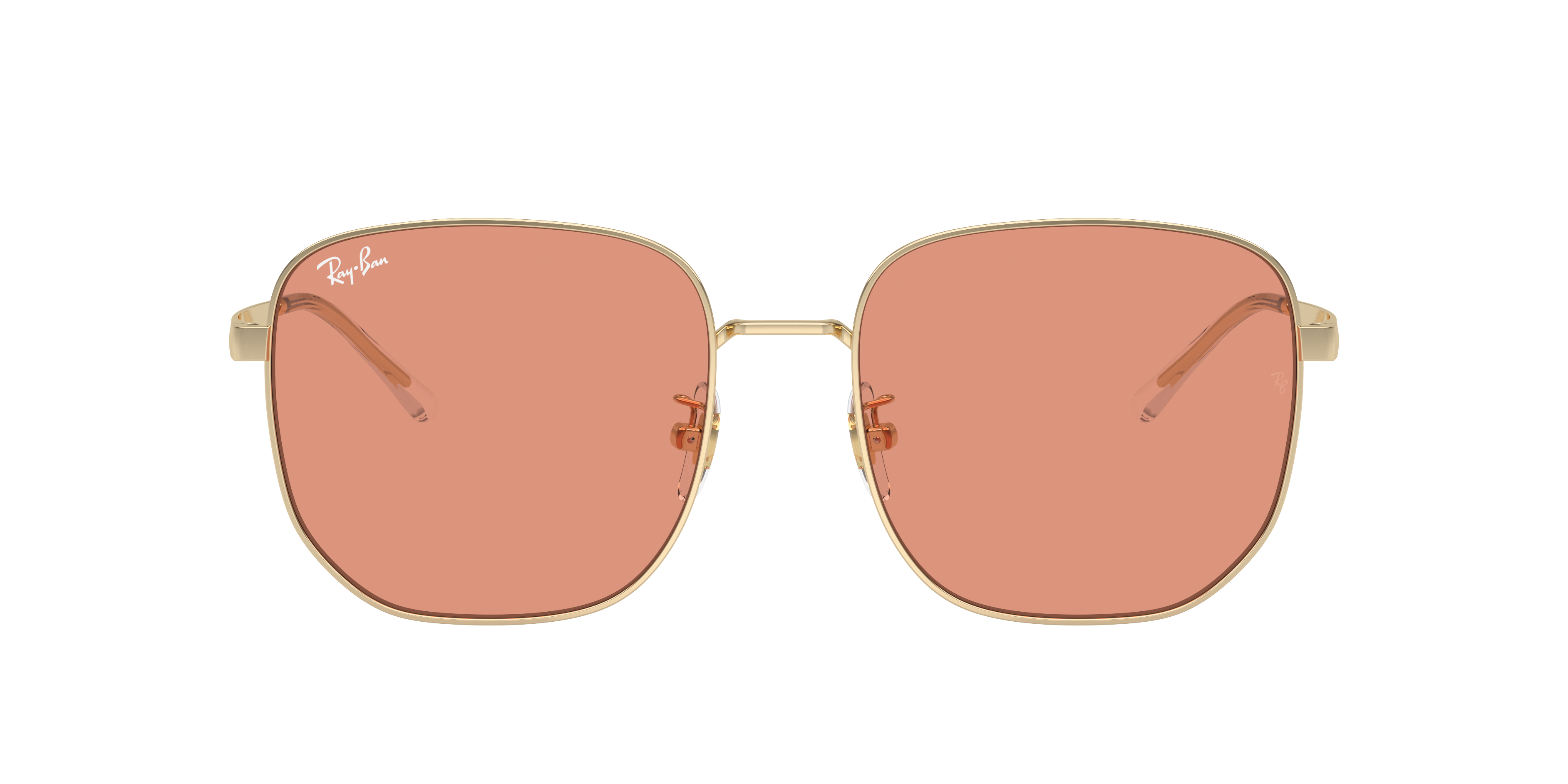 Ray Ban Ray In Brown