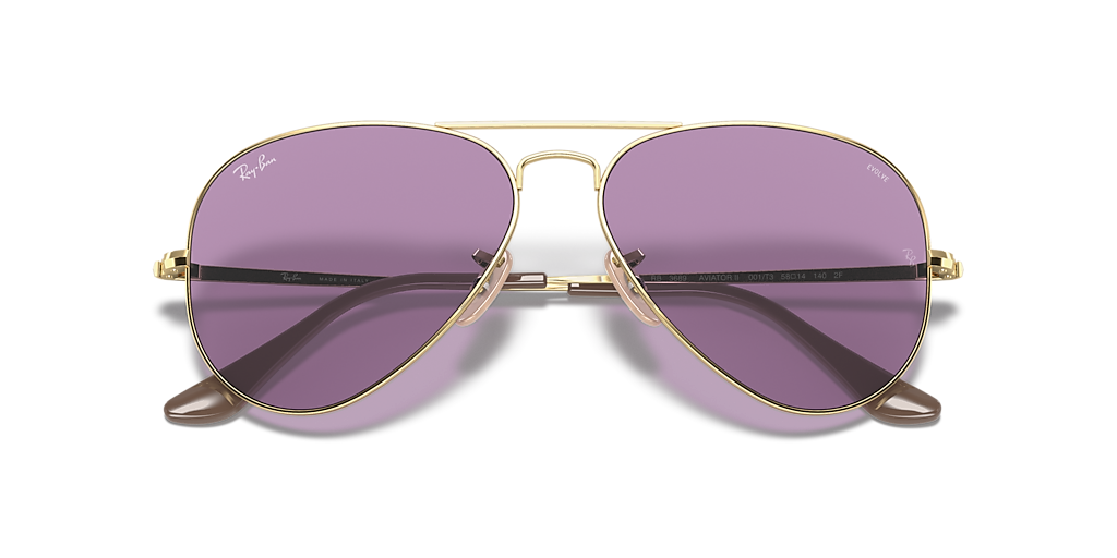 Ray-Ban RB3689 Solid Evolve M (55 - 14) with Grey lenses and Gold