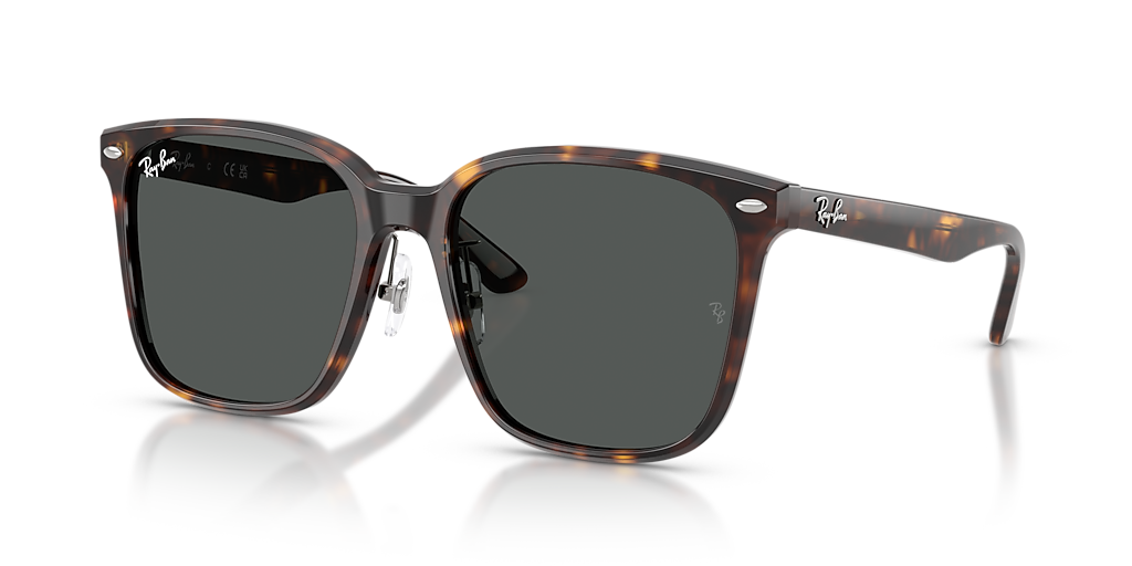 サングラス/メガネ Ray-Ban RB2206D Ray-Ban RB2206D L (57 - 18) with Grey lenses and Black frame