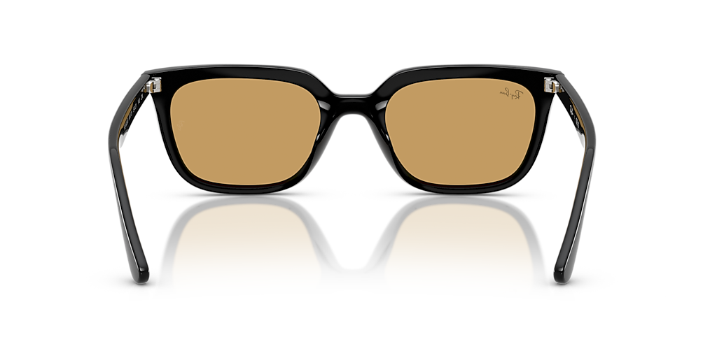 Ray-Ban RB4439D L (54 - 21) with Brown lenses and Black frame