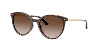 Jimmy Choo JC5007 M (55 - 17) with Brown lenses and Tortoise frame