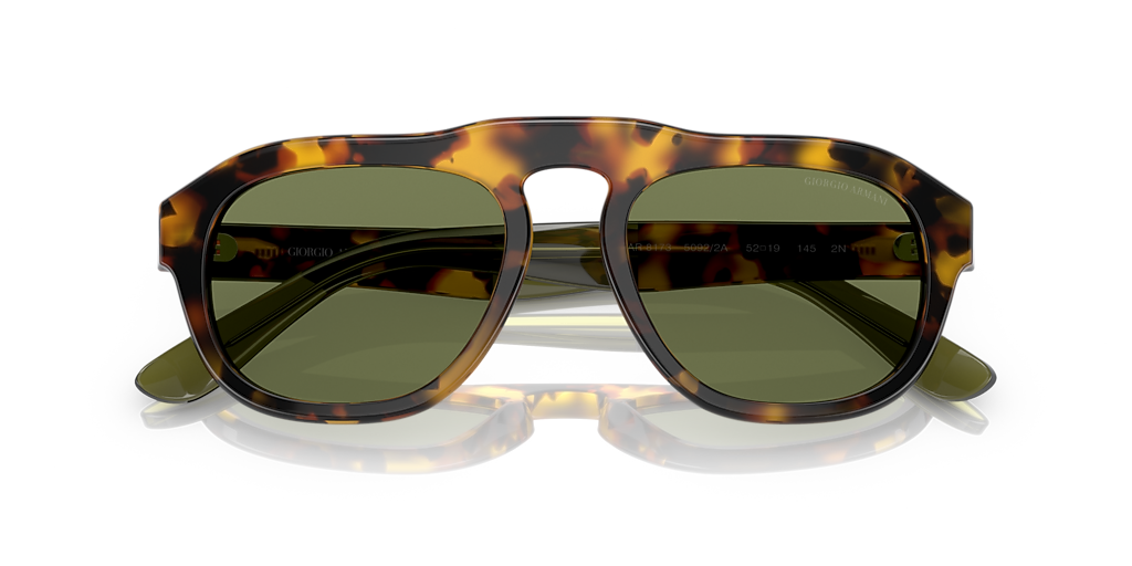 Giorgio Armani AR8173 S (52 - 19) com Lentes Verde e Armação