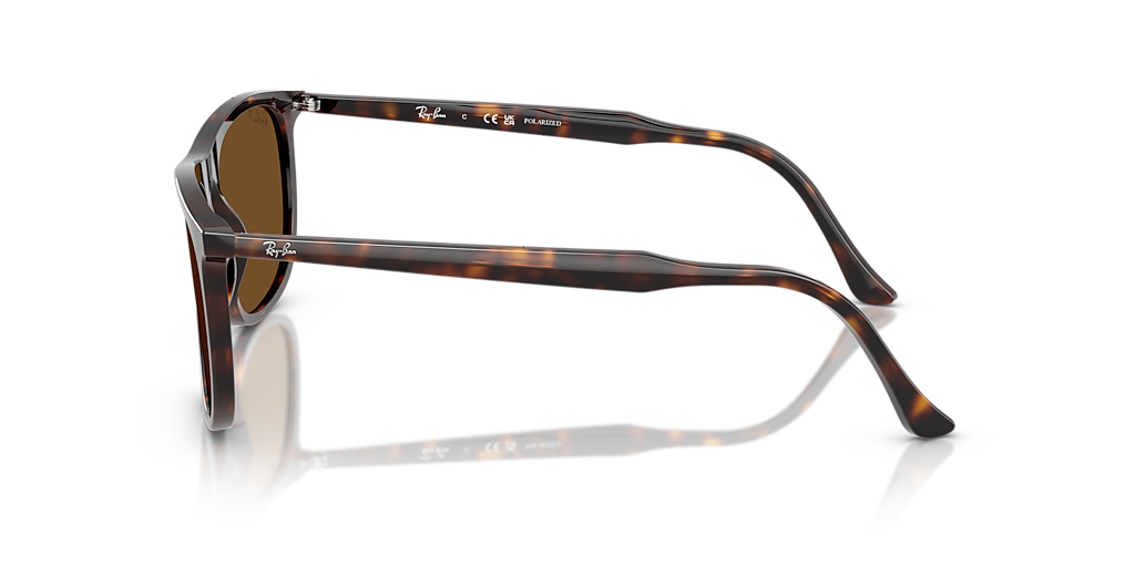 Ray-Ban RB2216 XXL (61 - 18) with Brown lenses and Tortoise frame