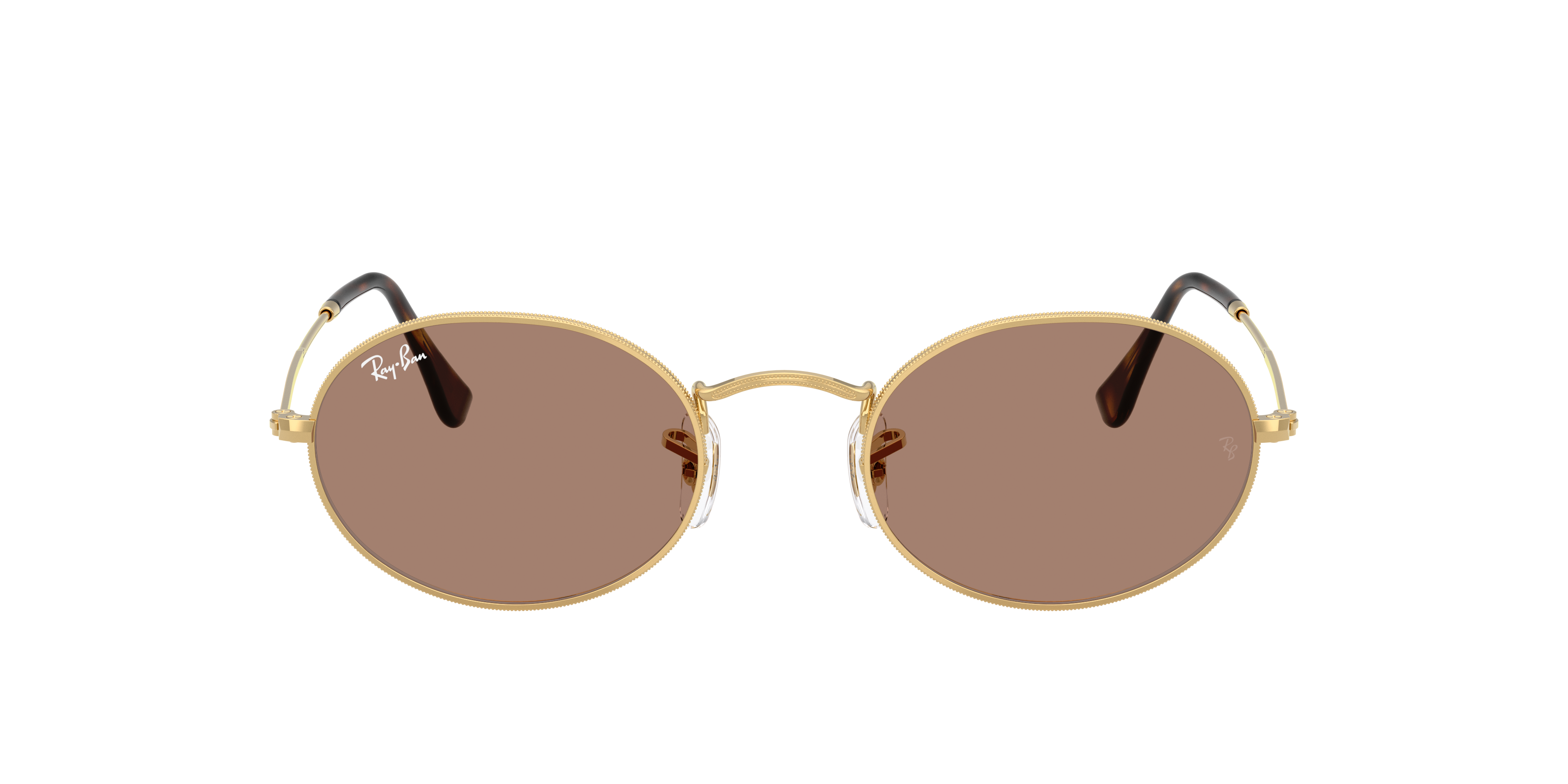 Ray Ban Ray In Light Violet