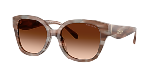 Coach HC8321 C6181 M (55 - 18) with Brown lenses and Tortoise