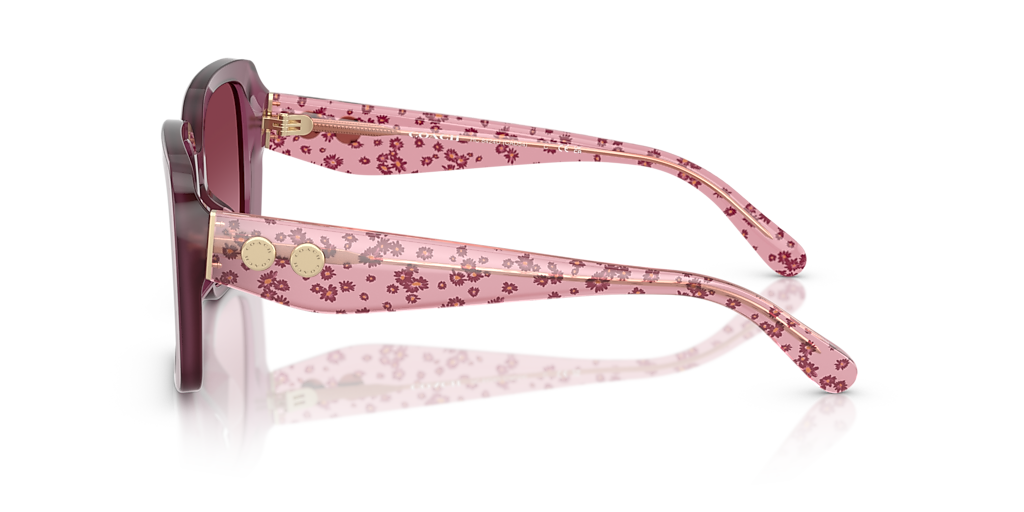 Coach CAD54 M (54 - 18) with Violet lenses and Violet frame