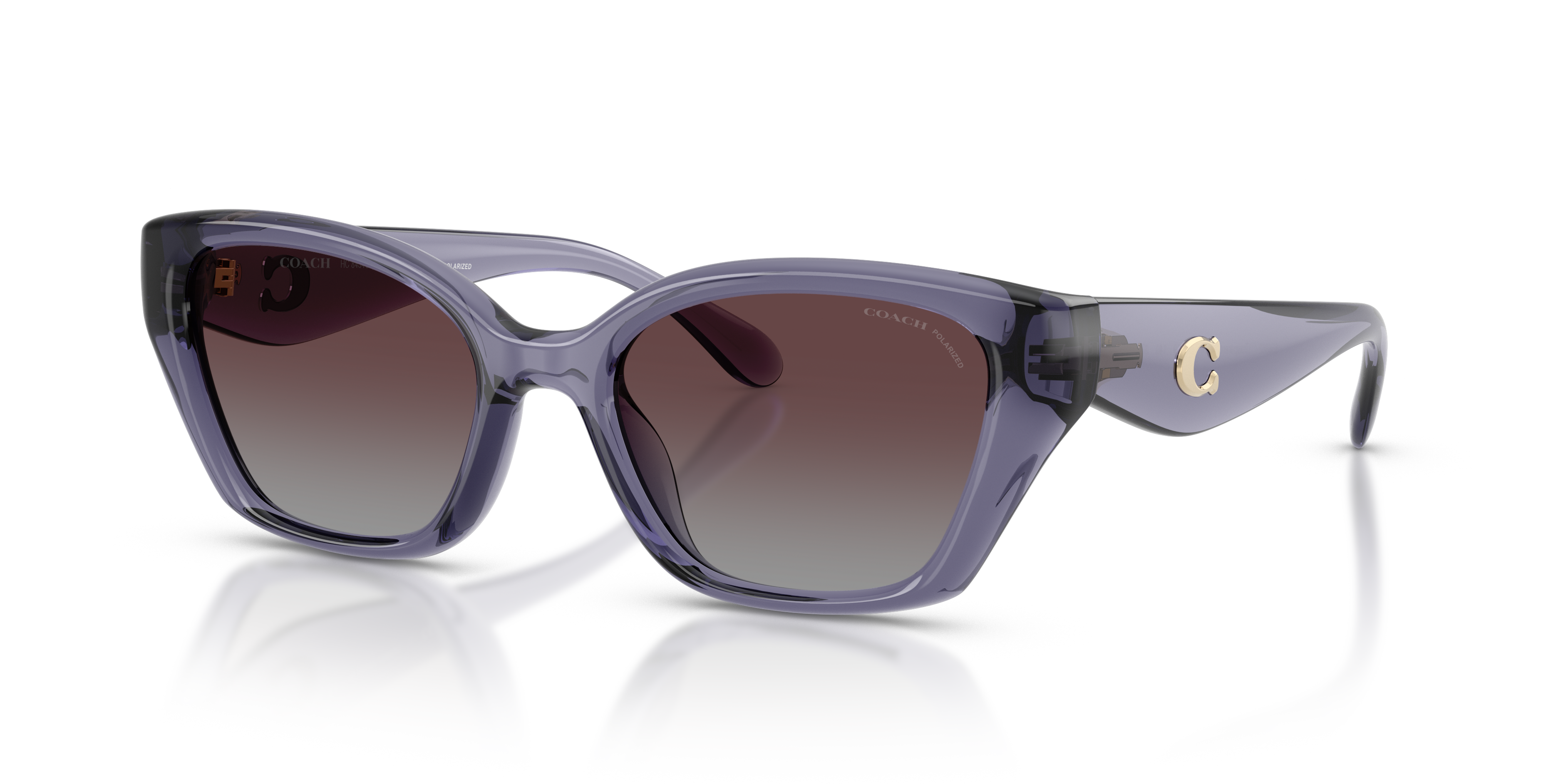 Coach HC8434U CBY91 M (53 - 19) with Violet lenses and Violet