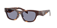 Prada PR B09SF M (53 - 19) with Brown lenses and Tortoise  display picture 2