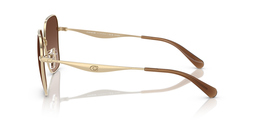 Coach HC7168 CW189 XL (58 - 16) with Brown lenses and Gold