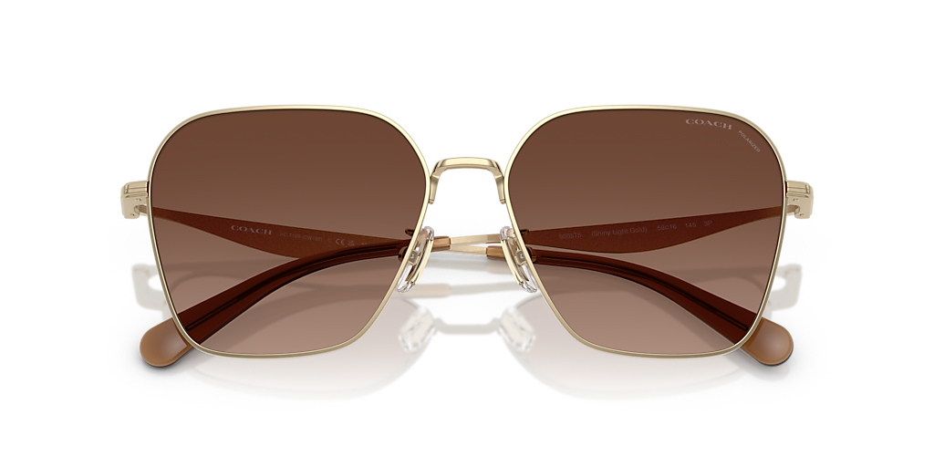 Coach HC7168 CW189 XL (58 - 16) with Brown lenses and Gold