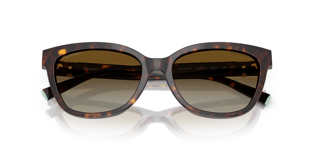 Tiffany & Co. TF4237BF M (55 - 17) with Brown lenses and  display picture 1