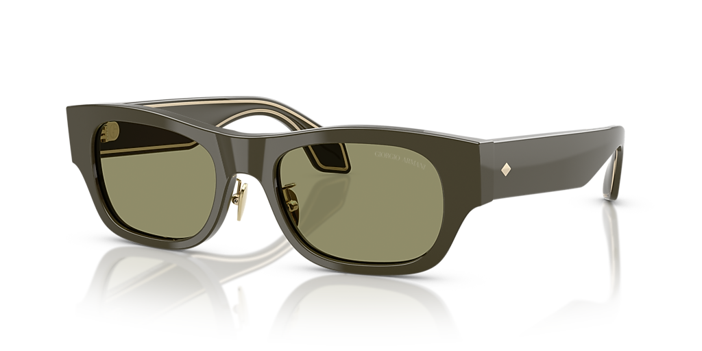 Giorgio Armani AR8224