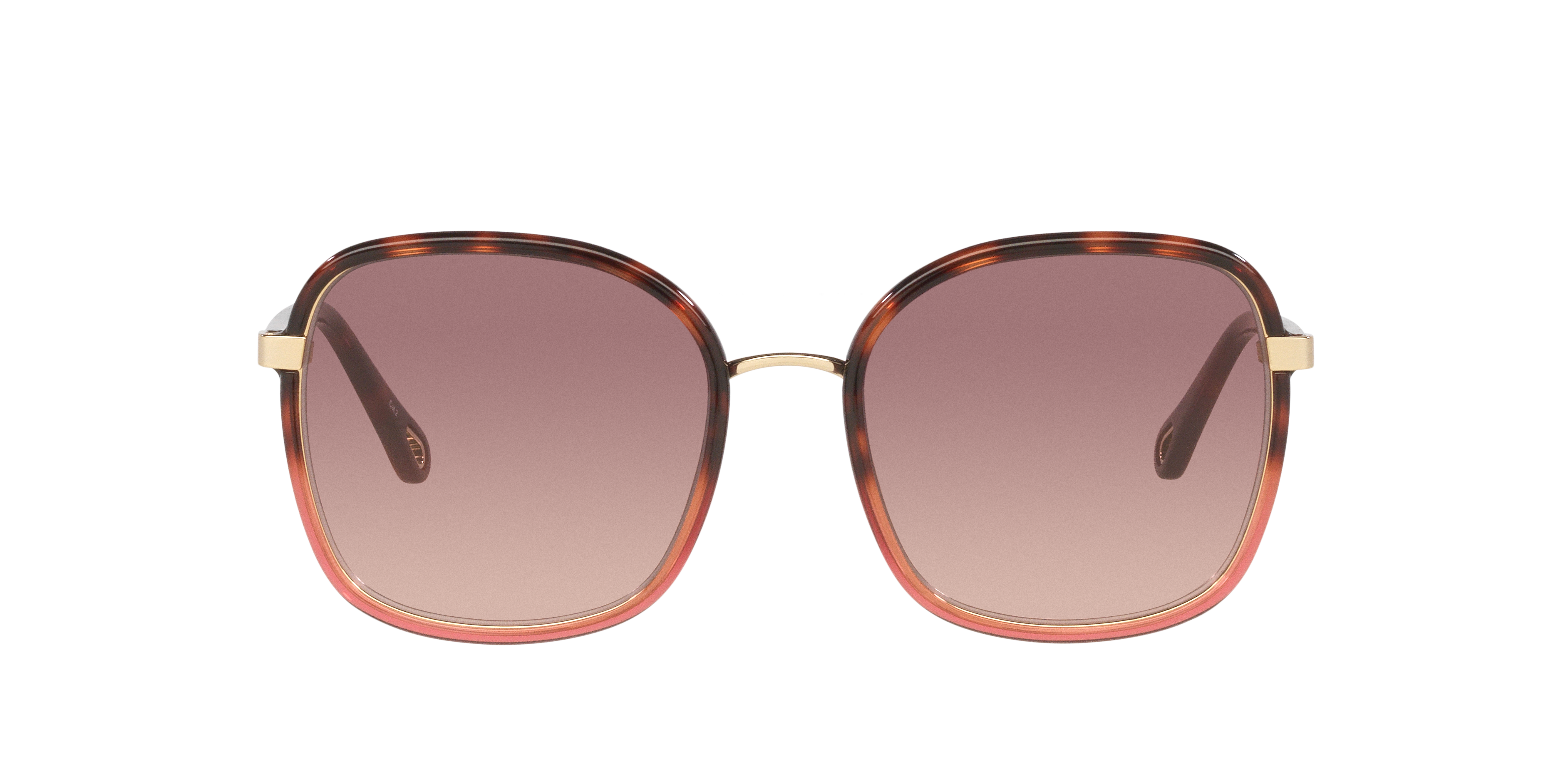 Chloé CH0031S L (56 - 19) with Red lenses and Tortoise frame