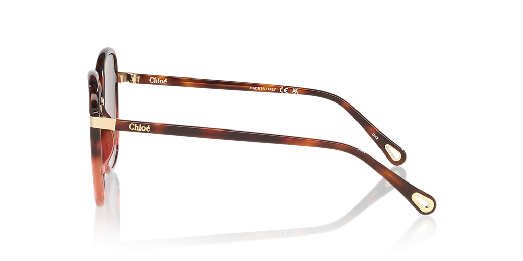 Chloé CH0031S L (56 - 19) with Red lenses and Tortoise frame
