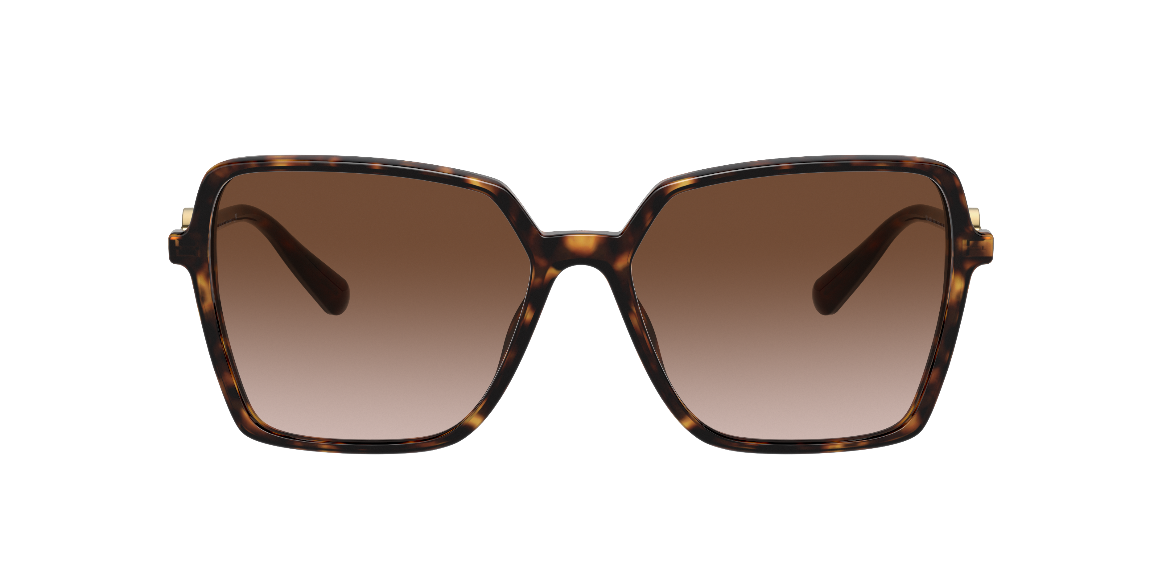 Versace VE4396 XL (58 - 16) with Brown lenses and Tortoise frame