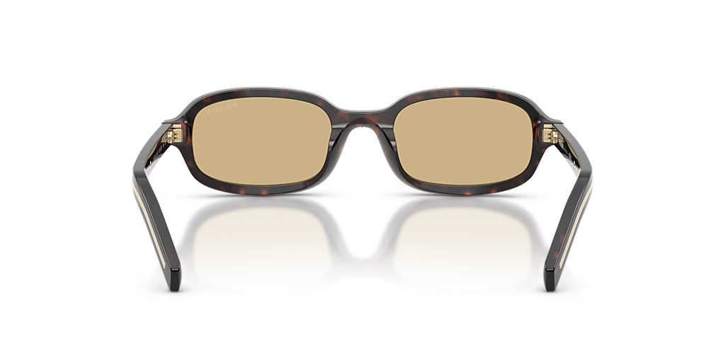 Prada PR D06S XS (50 - 20) with Brown lenses and Tortoise frame