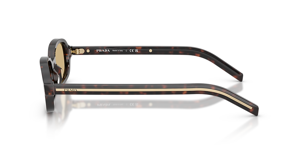 Prada PR D06S XS (50 - 20) with Brown lenses and Tortoise frame