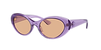 Versace VE4455U S (53 - 19) with Brown lenses and Violet  display picture 1