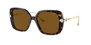 Swarovski SK6041 XL (53 - 19) with Brown lenses and Brown