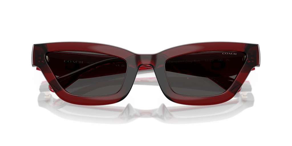 Coach HC8420U CAD28 XL (55 - 23) with Grey lenses and Red  display picture 2