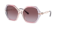 Coach HC8315 C3445 XXL (57 - 19) with Violet lenses and  display picture 2