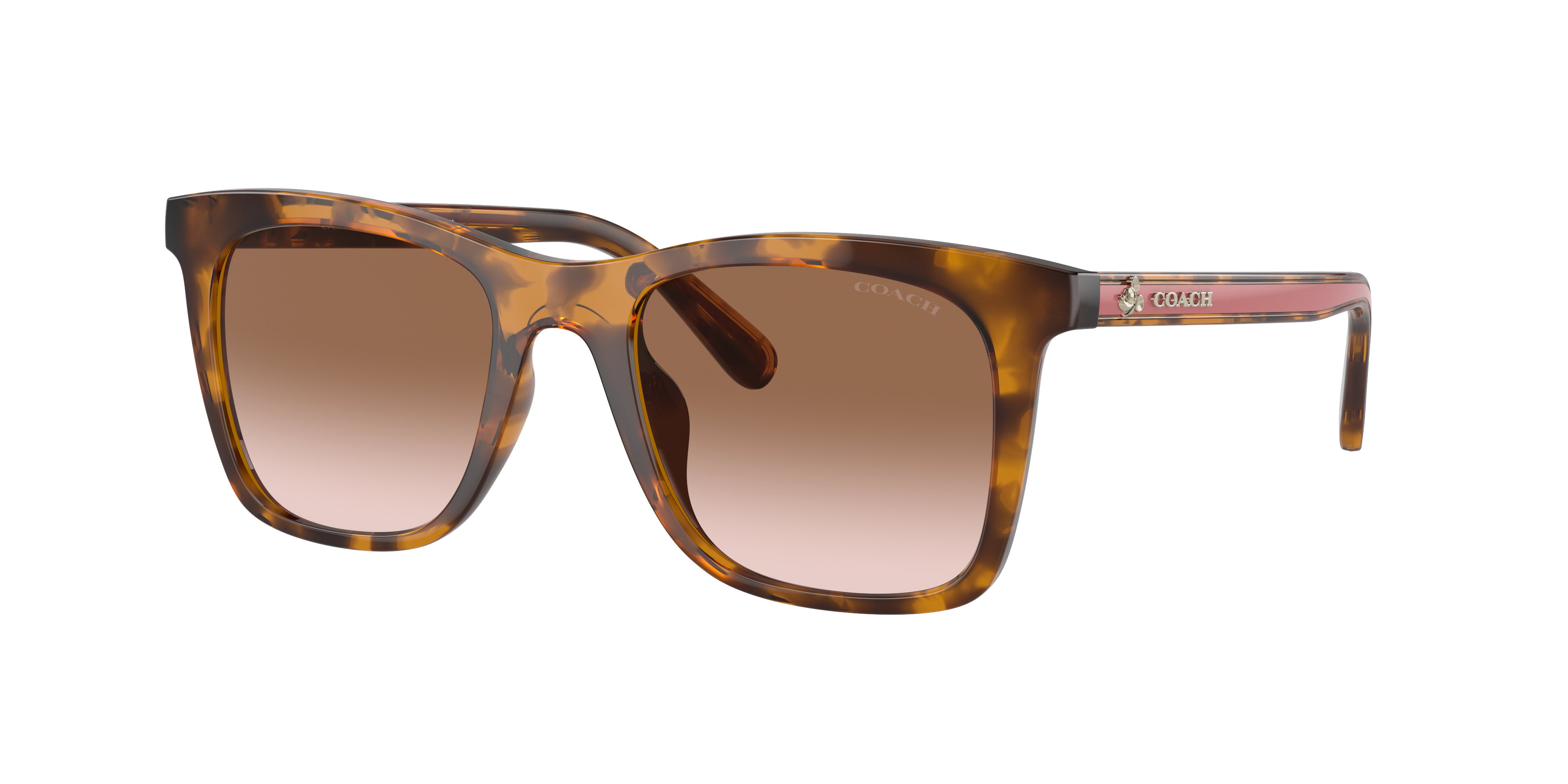 Coach Woman Sunglass Hc8374u Ch561 In Brown