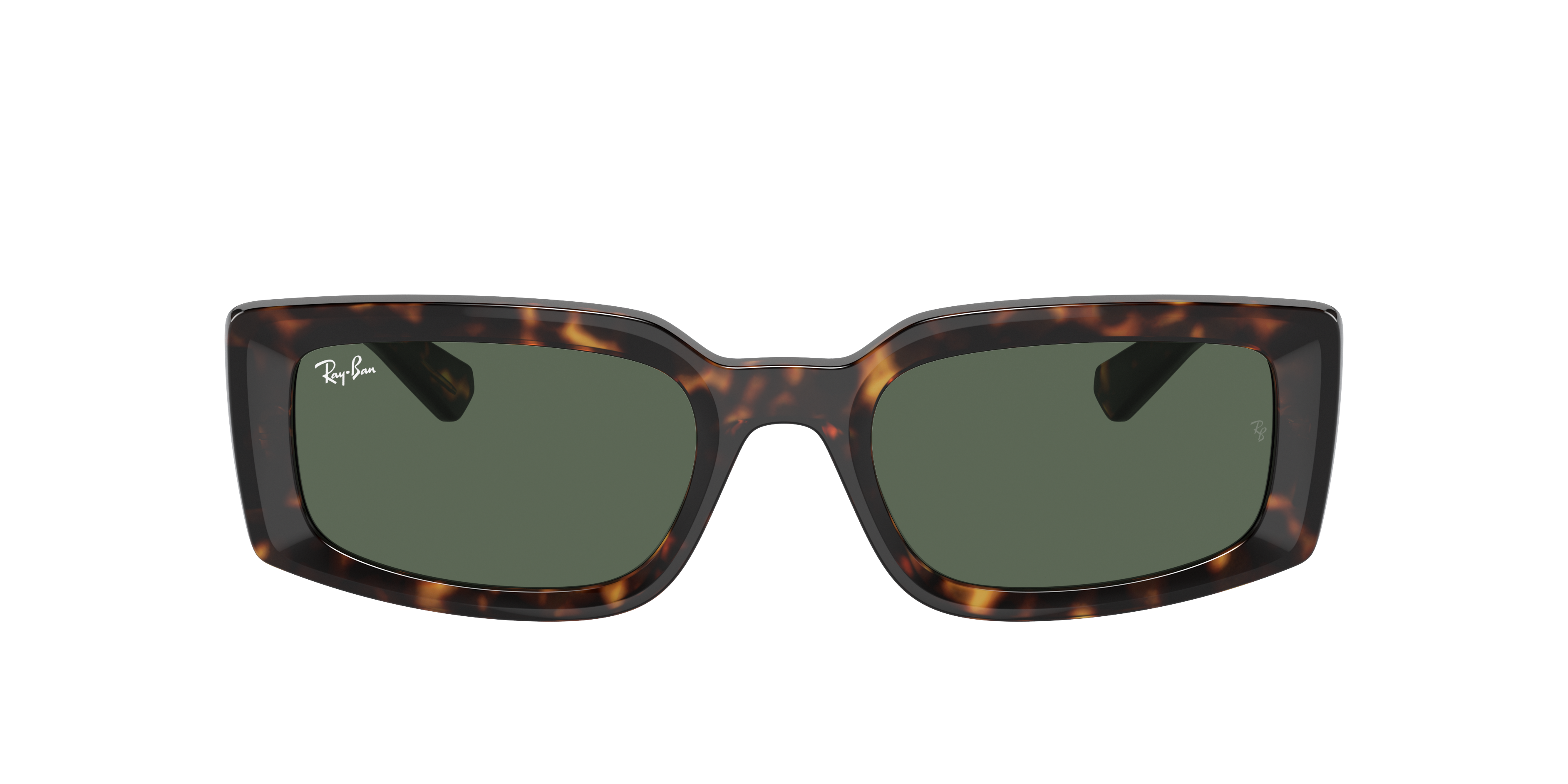 Ray Ban Ray In Dark Green
