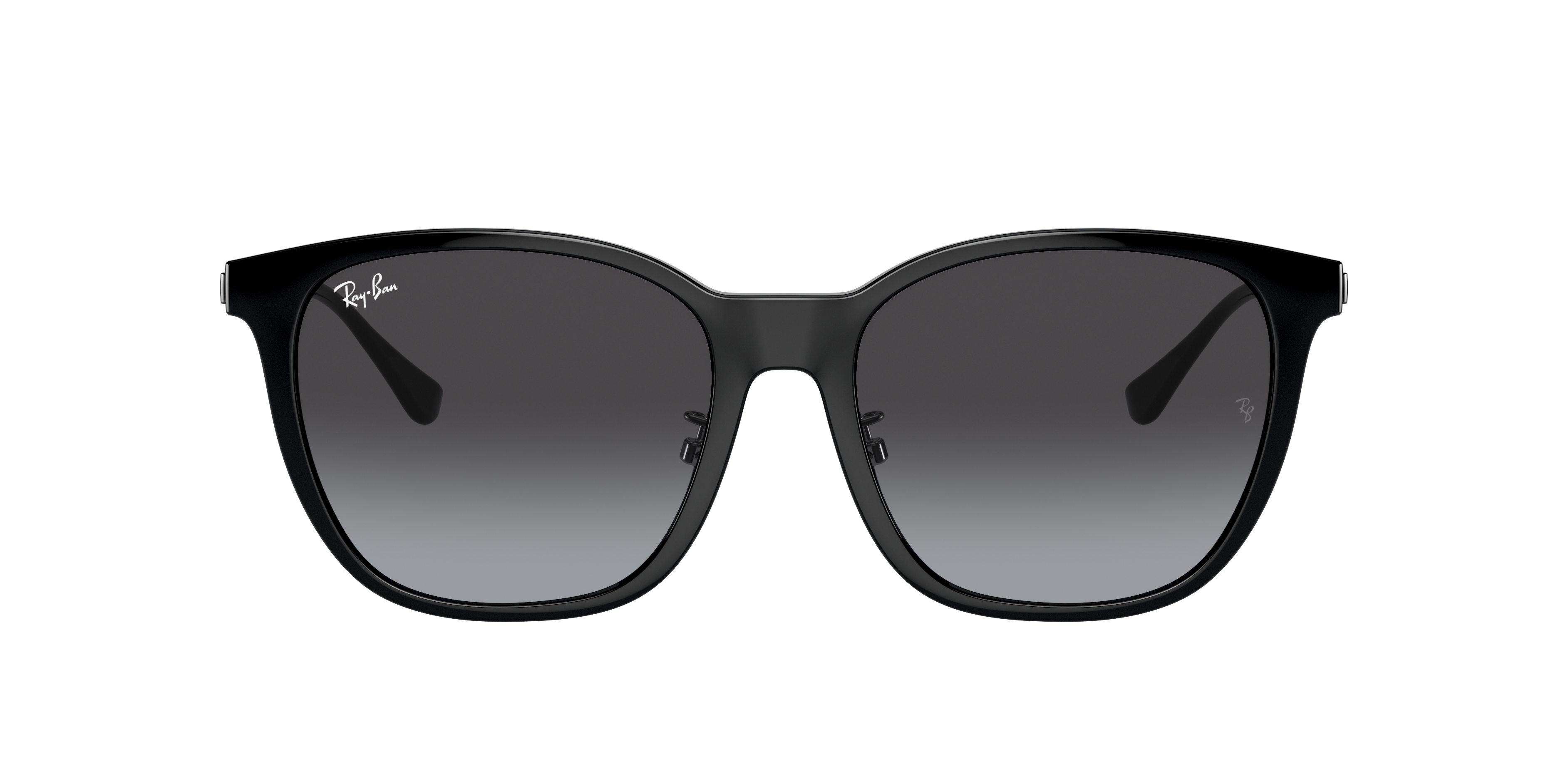 Ray Ban Ray In Black