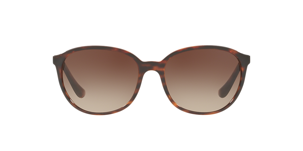 SUNGLASS HUT COLLECTION HU2003 Striped Havana - Women Sunglasses, Gradient Brown Lens