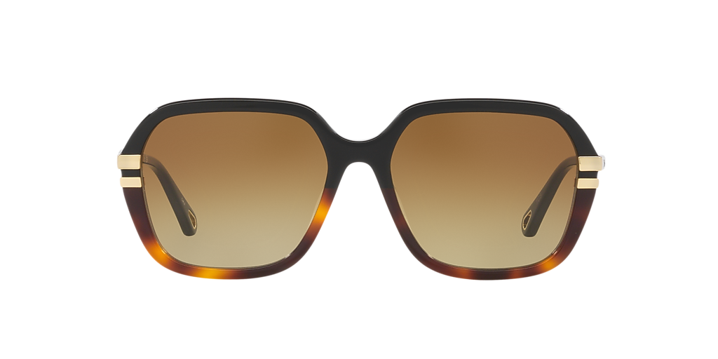Chloé CH0204S M (57 - 17) with Brown lenses and Black frame  display picture 1