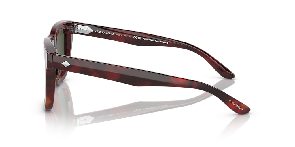 Giorgio Armani AR8171