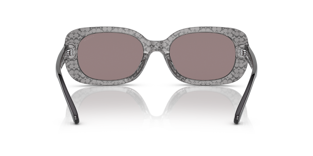 【送料,関税込】 COACHサングラス CD471 HC8358U Coach HC8358U CD471 L (54 - 20) with Violet lenses and