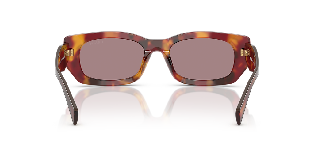 Prada PR B05S M (53 - 19) with Violet lenses and Tortoise