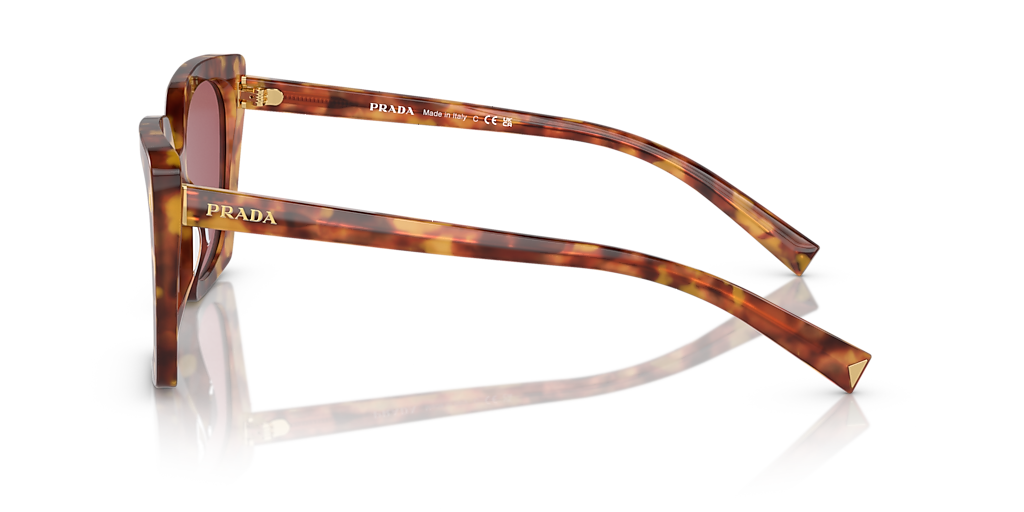 Prada PR 23ZS S (54 - 18) with Violet lenses and Tortoise