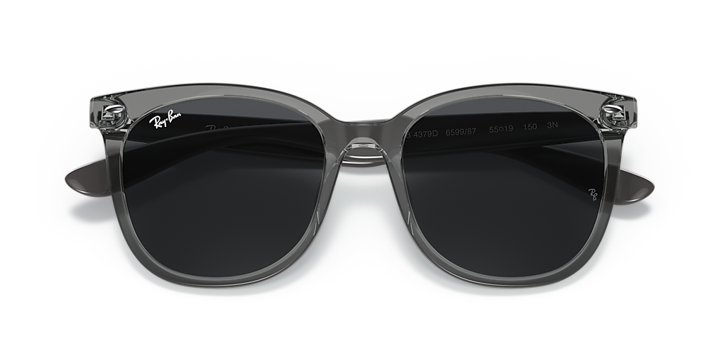 小物 Ray-Ban RB4379D Ray-Ban RB4379D L (55 - 19) with Grey lenses and Grey frame
