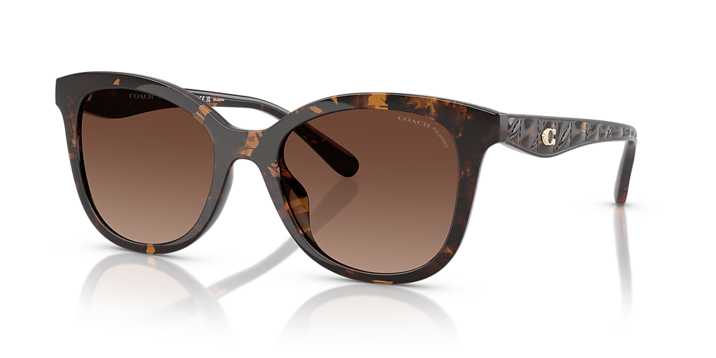 小物 174.COACH SUNGLASSES DARK OLIVE Coach HC8358U CD471 Sunglasses | LensCrafters