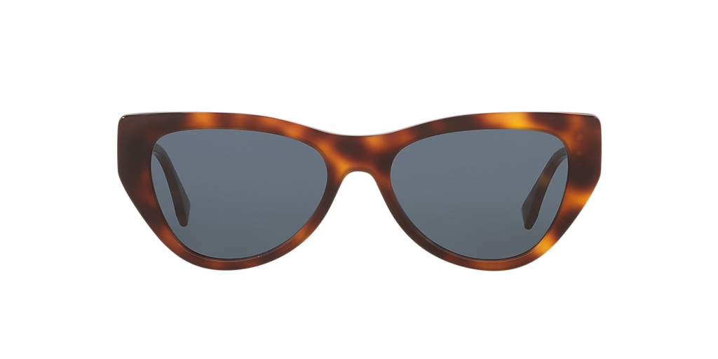 Fendi Fe40149I S (54 - 17) with Blue lenses and Tortoise frame