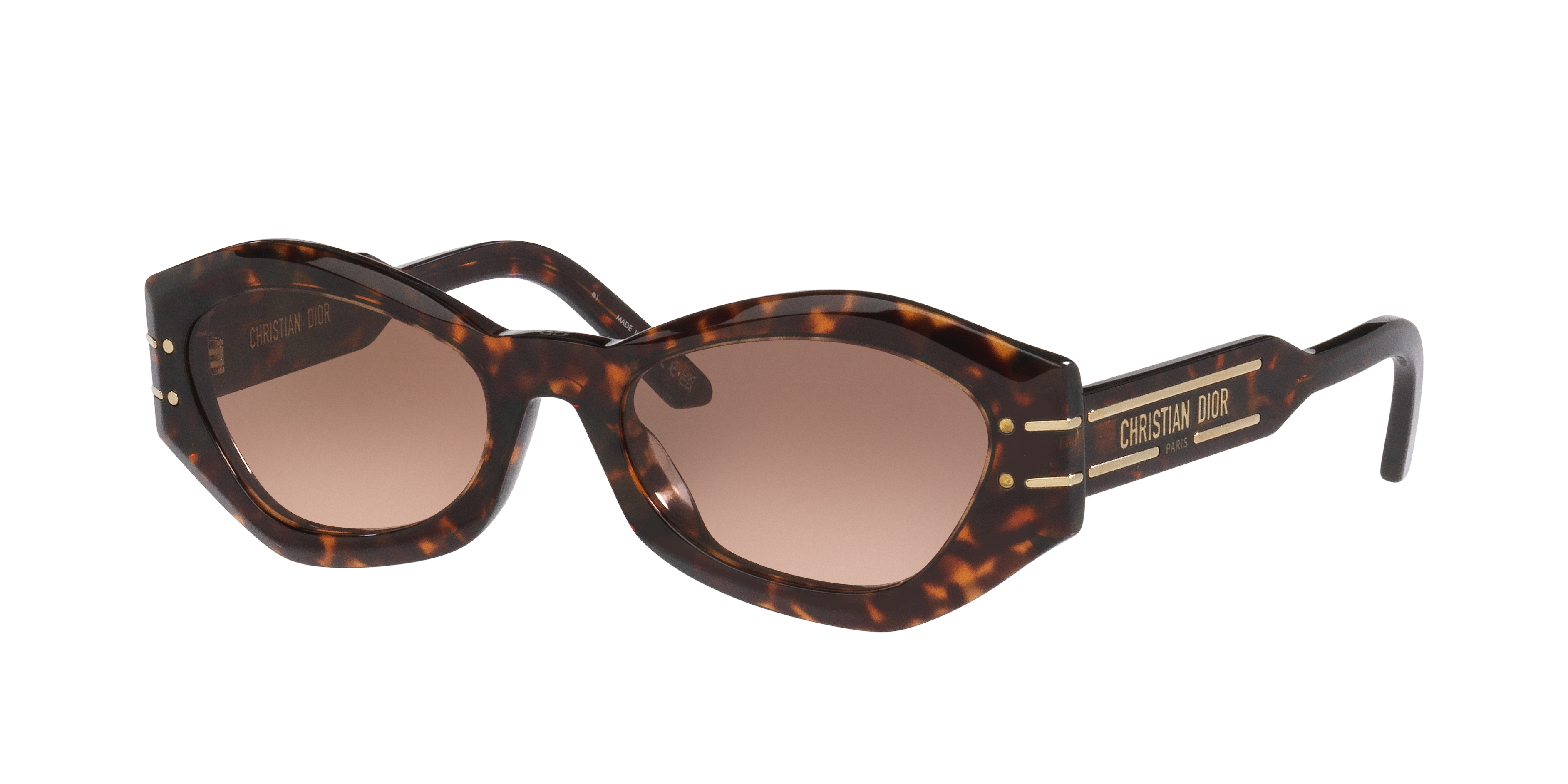 DIOR Diorsignature B1U Cd40139U M (55 - 20) with Brown lenses and DIOR Diorsignature B1U Cd40139U M (55 - 20) with Brown lenses and