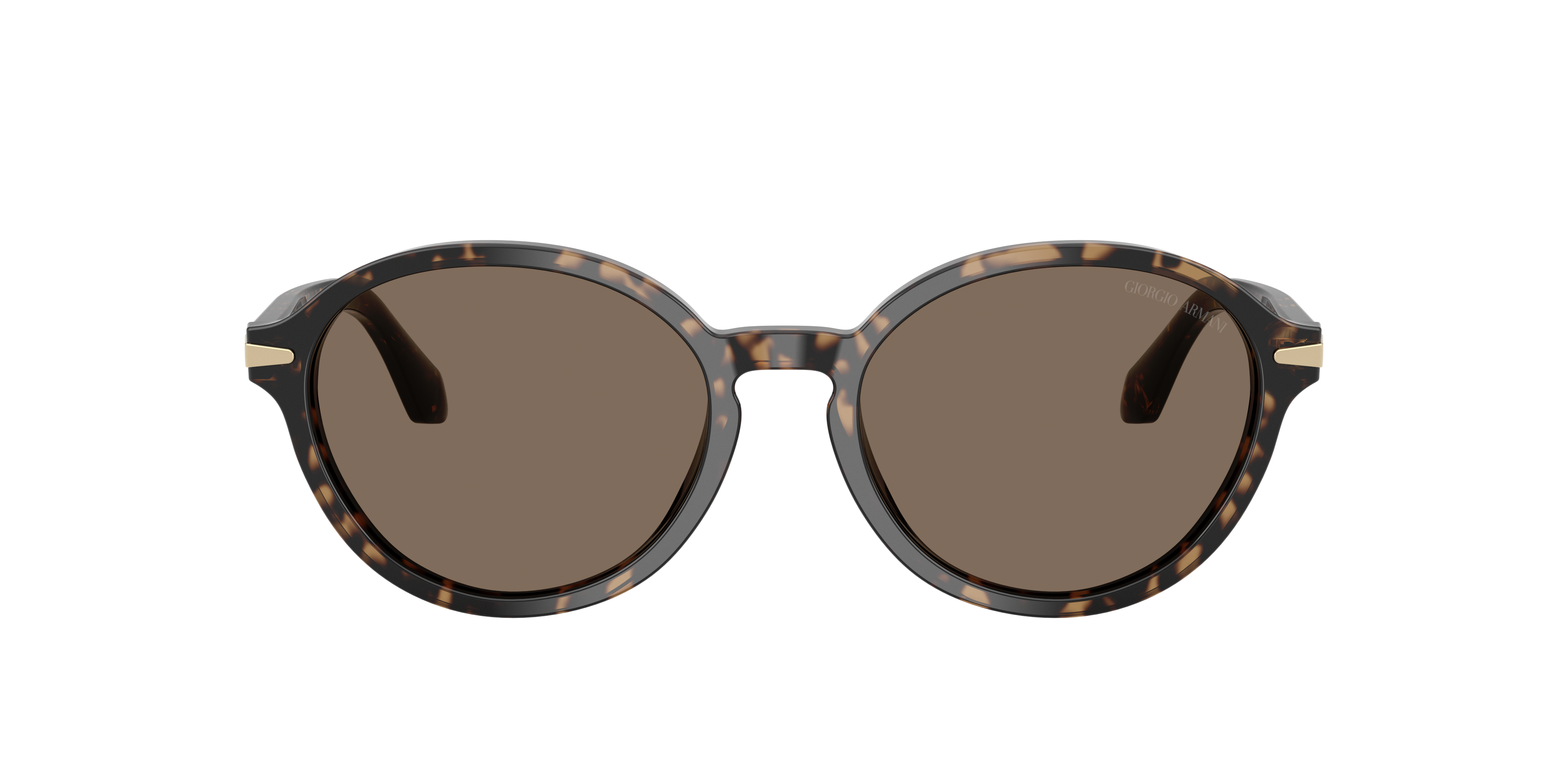 Giorgio Armani Woman Sunglass Ar8237 In Brown