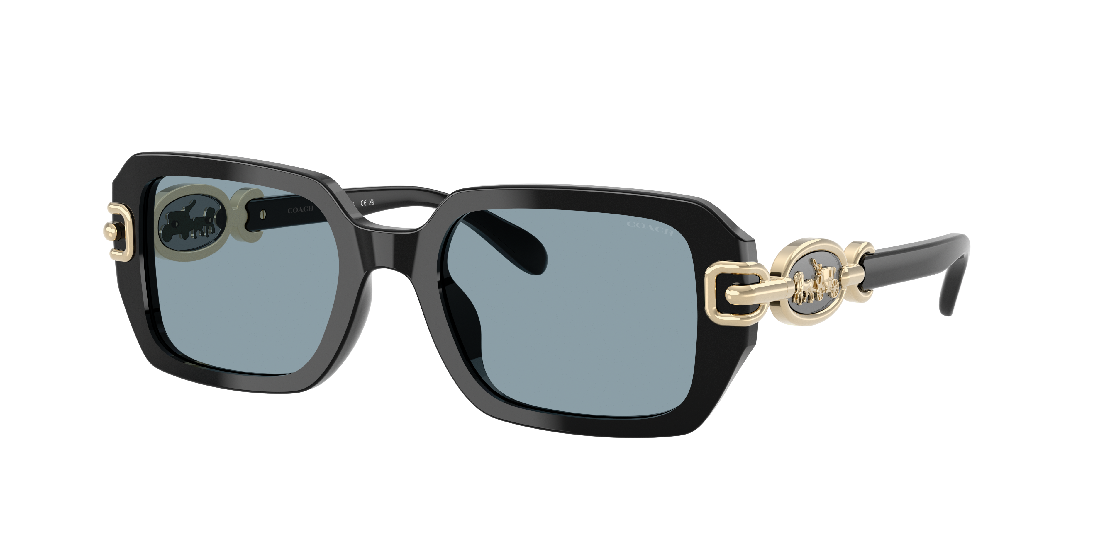 Coach HC8425U CAD74 XL (52 - 20) with Blue lenses and Black frame