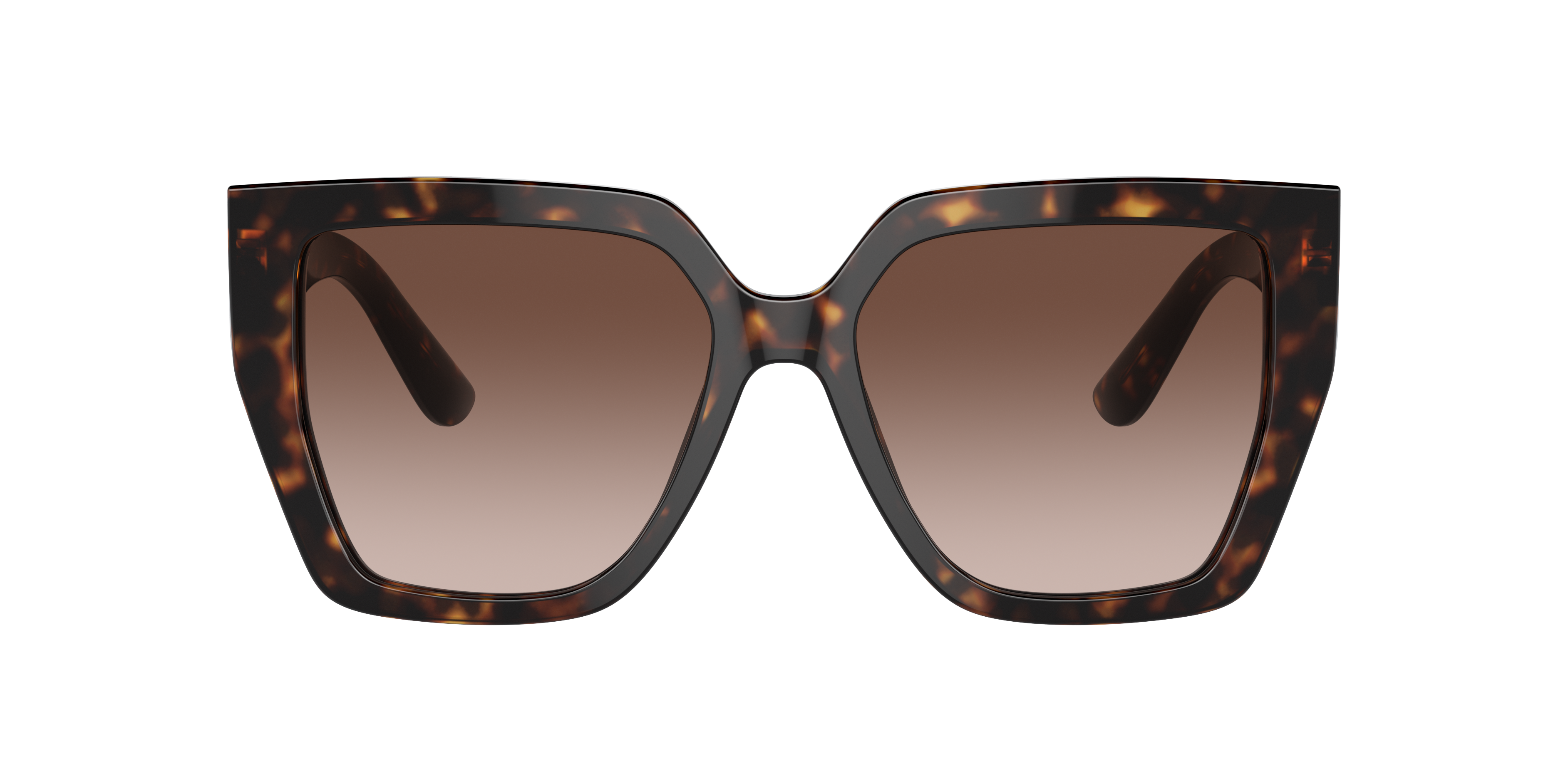 Dolce & Gabbana Womens Brown Dg4438 Square-frame Tortoiseshell Acetate Sunglasses In Brown