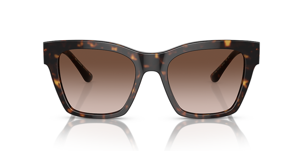 Dolce&Gabbana DG4384 L (53 - 20) with Brown lenses and
