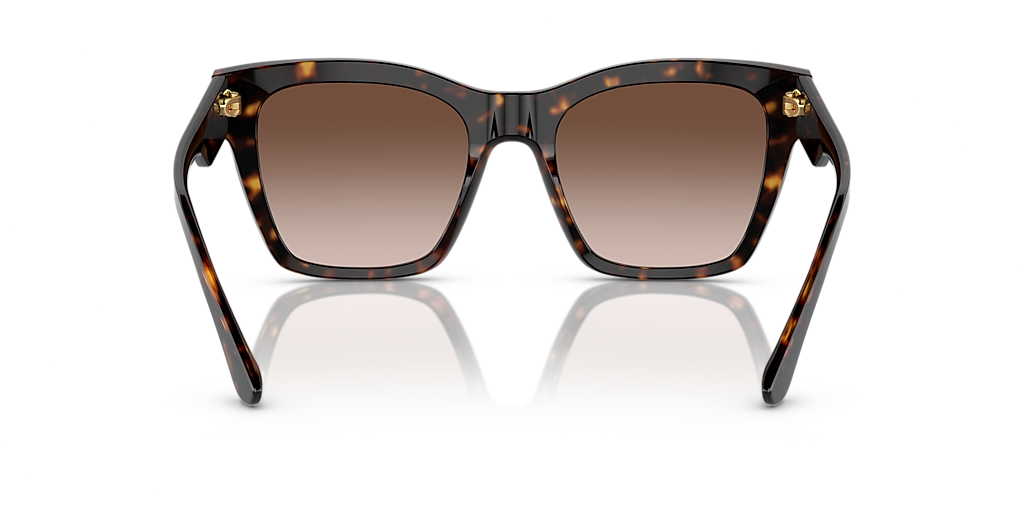 Dolce&Gabbana DG4384 L (53 - 20) with Brown lenses and