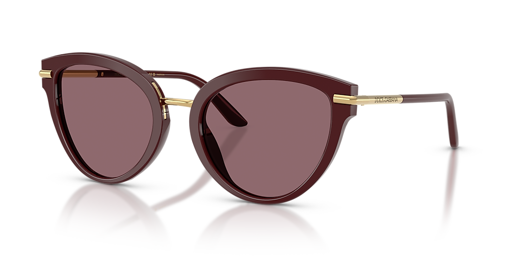 Dolce&Gabbana DG4492 XXL (55 - 21) with Pink lenses and Red frame