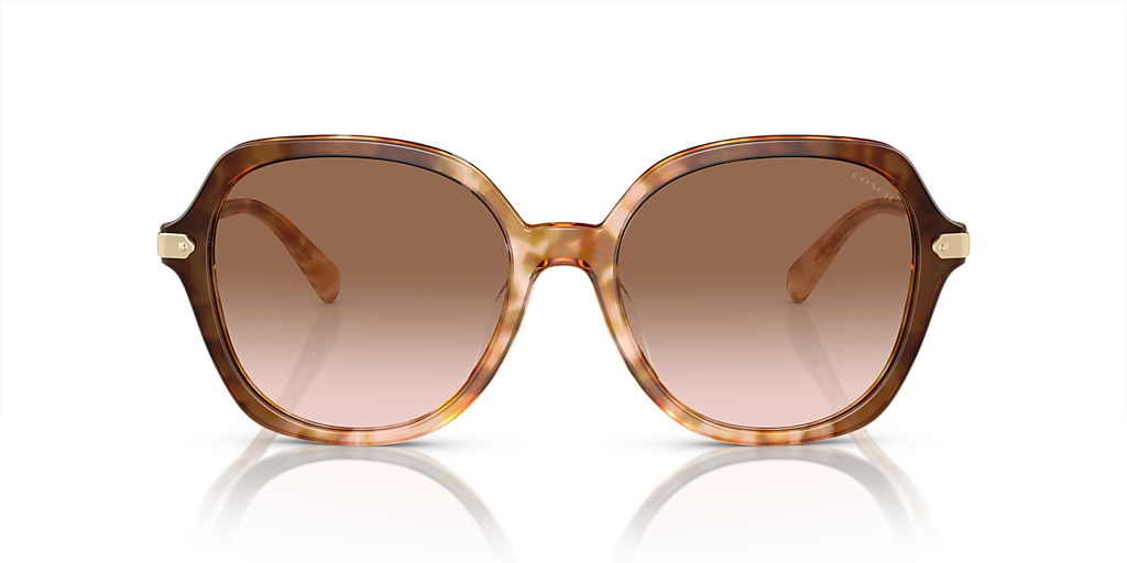 【COACH】Women's CL925 Sunglasses, Gradient HC8377U Coach HC8377U CL925 XXL (55 - 18) with Brown lenses and