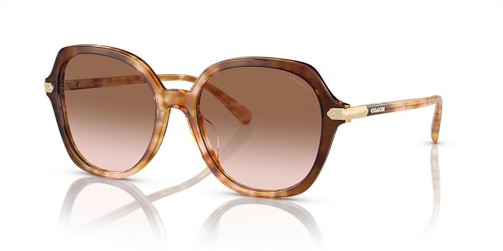 【送料,関税込】 COACH サングラス CL925 HC8377U Coach HC8377U CL925 XXL (55 - 18) with Brown lenses and