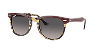 TaylorMade - ReyBan Ray-Ban RB2398 Eagle Eye XL (56 - 21) with Grey lenses and