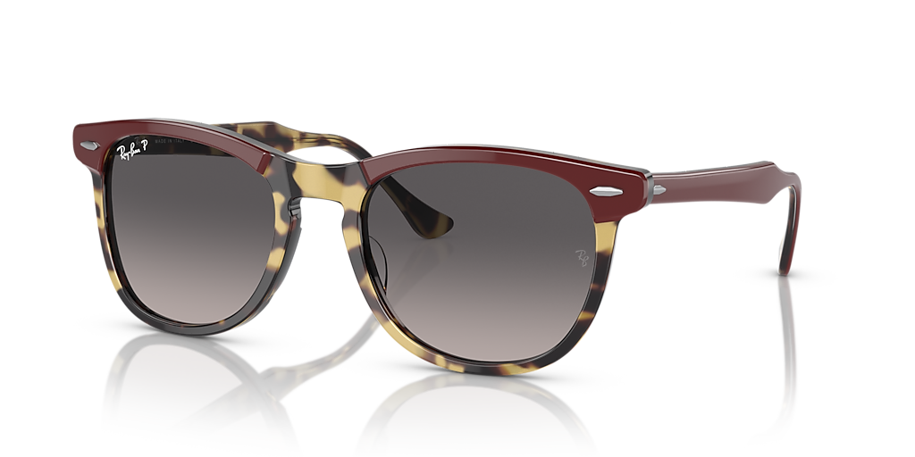 Ray-Ban RB2398 Eagle Eye XL (56 - 21) with Grey lenses and