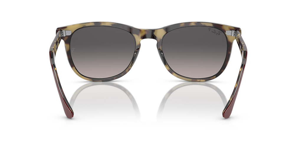 TaylorMade - ReyBan Ray-Ban RB2398 Eagle Eye XL (56 - 21) with Grey lenses and